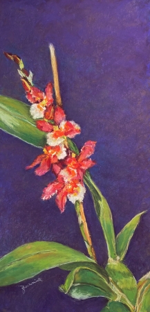 art of Julie Schmidt